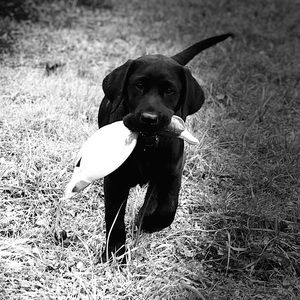 Meet your Posher, Ruth